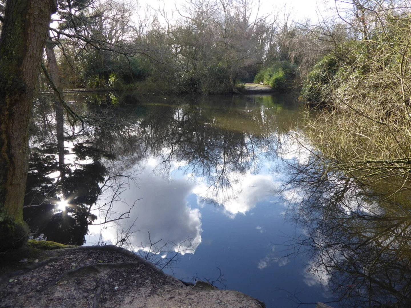An image depicting the trail Knighton Wood Loop and its surrounding area.