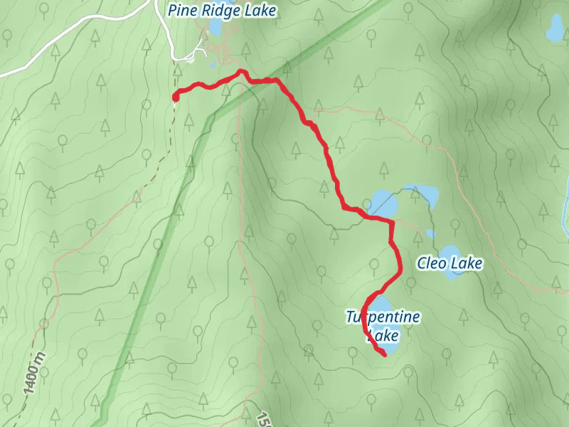 Turpentine Lake via Pine Ridge Trail