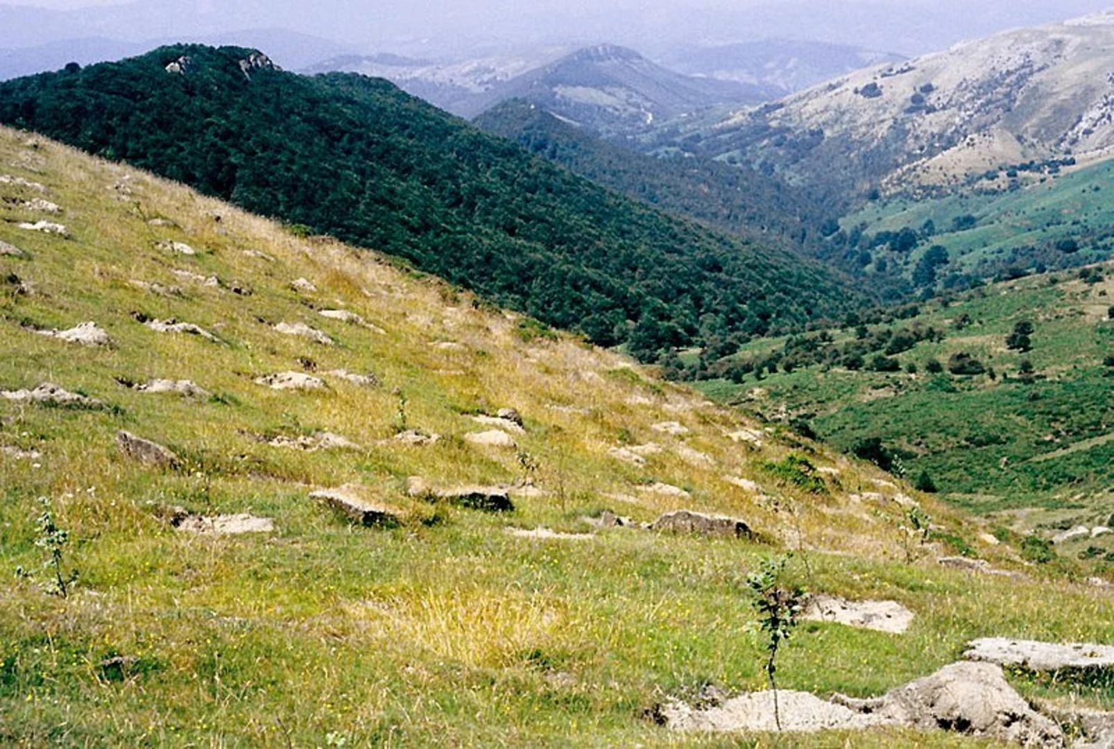 An image depicting the trail Crossing of the Malloas PR GI 2008 and its surrounding area.