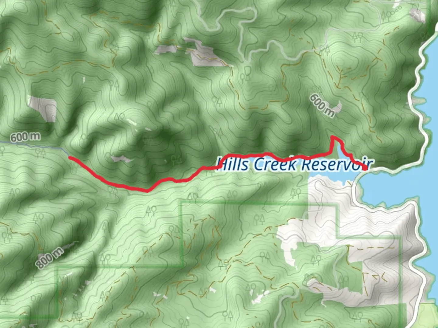 An image depicting the trail Larison Creek and its surrounding area.