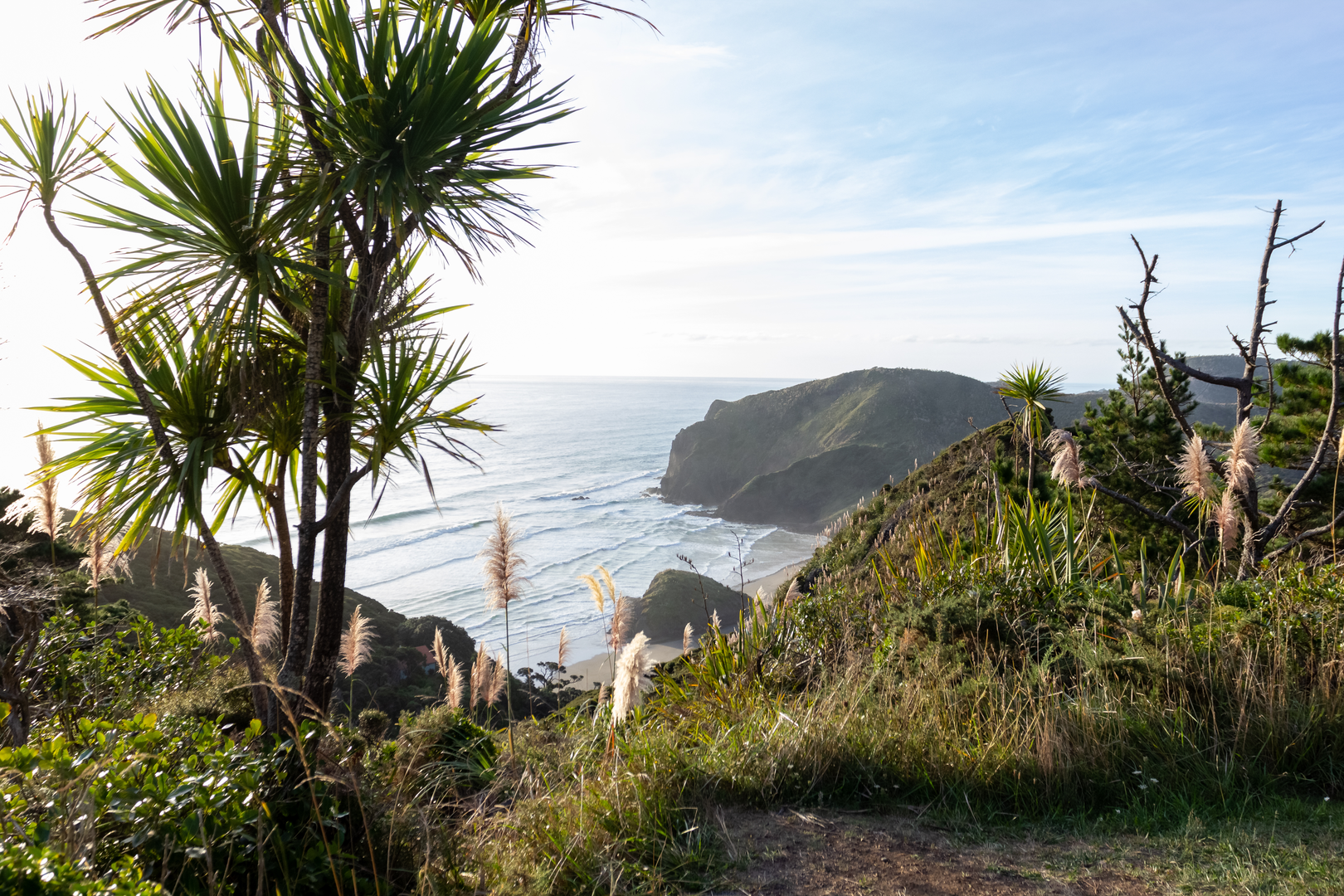 An image depicting the trail Anawhata Beach Trail and its surrounding area.
