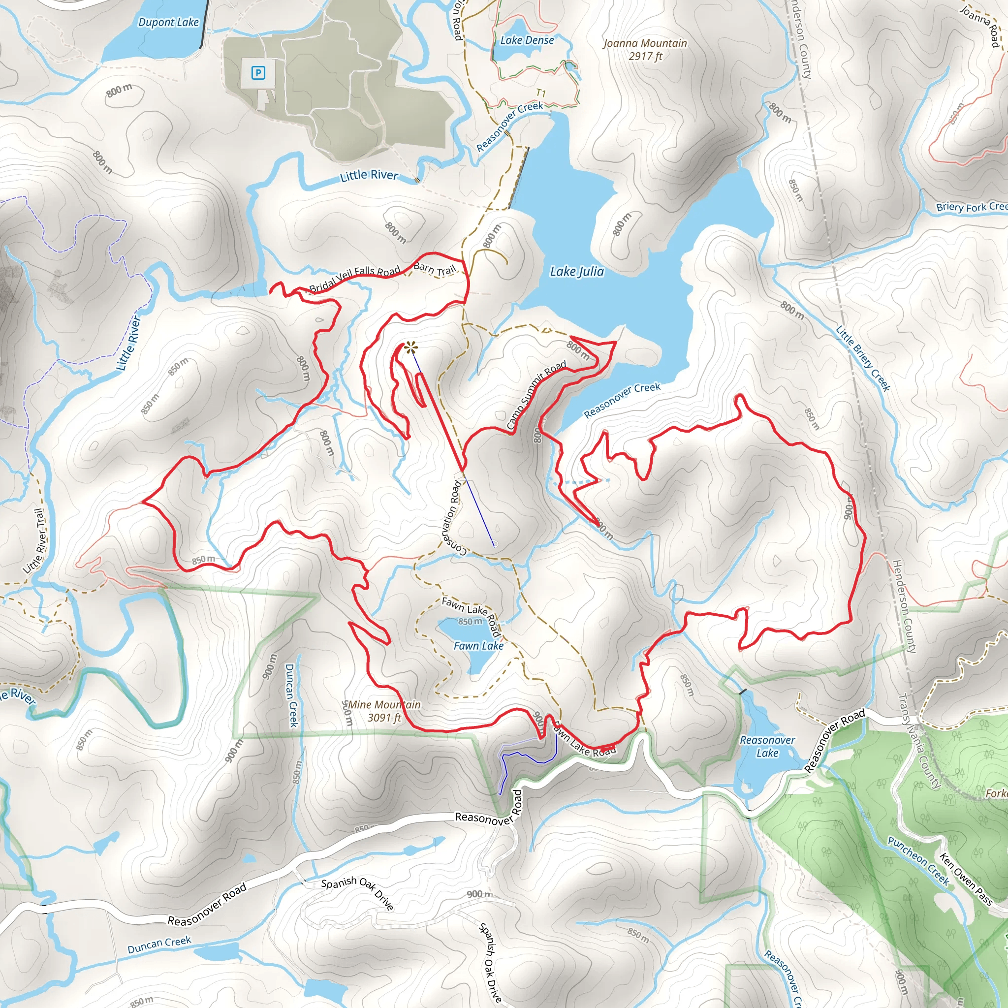 Mine Mountain and Lake Julia via Reasonover Creek Loop Trail mobile static map