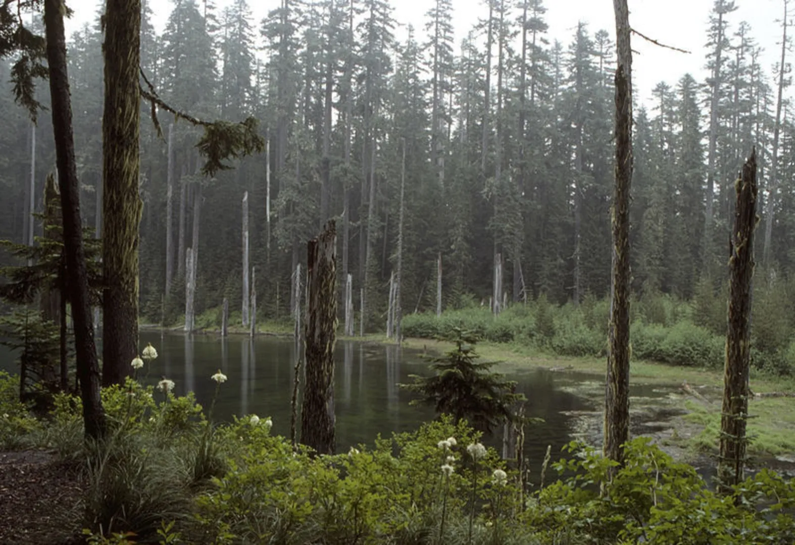 An image depicting the trail Dock Butte Trail and its surrounding area.