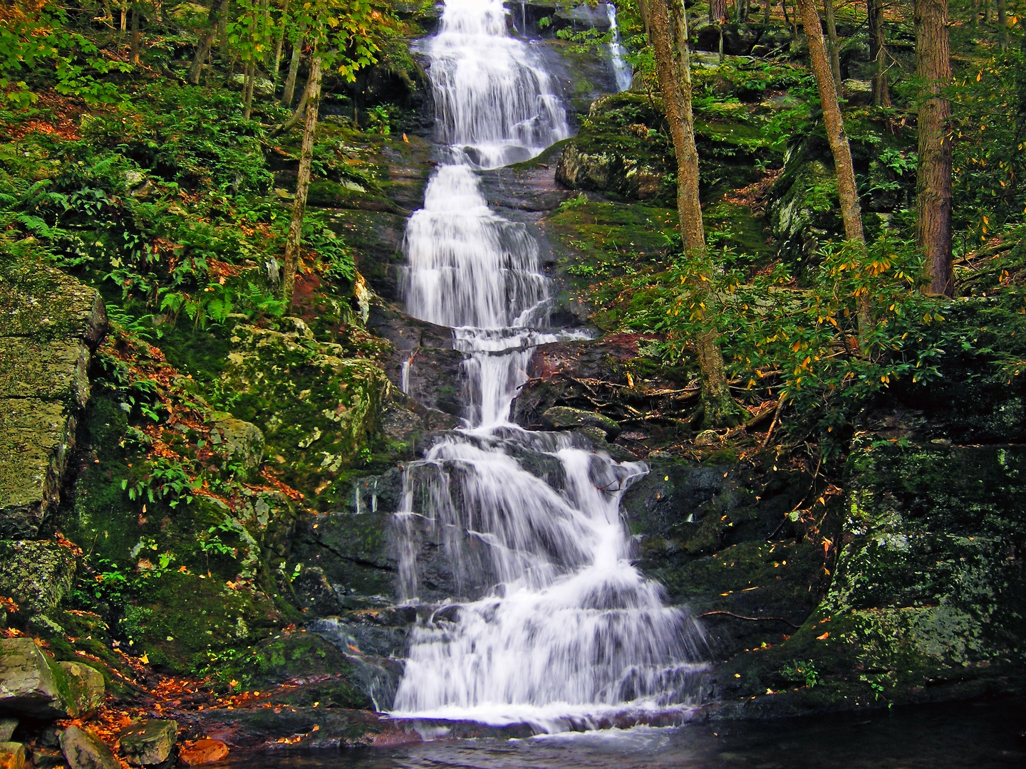 An image depicting the trail Buttermilk Falls and Luke's Falls and its surrounding area.