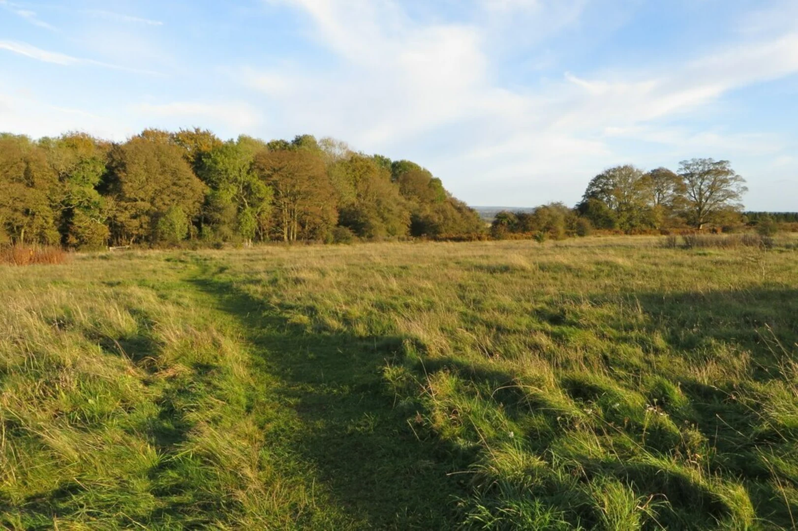 An image depicting the trail Borough Hill Daventry and its surrounding area.