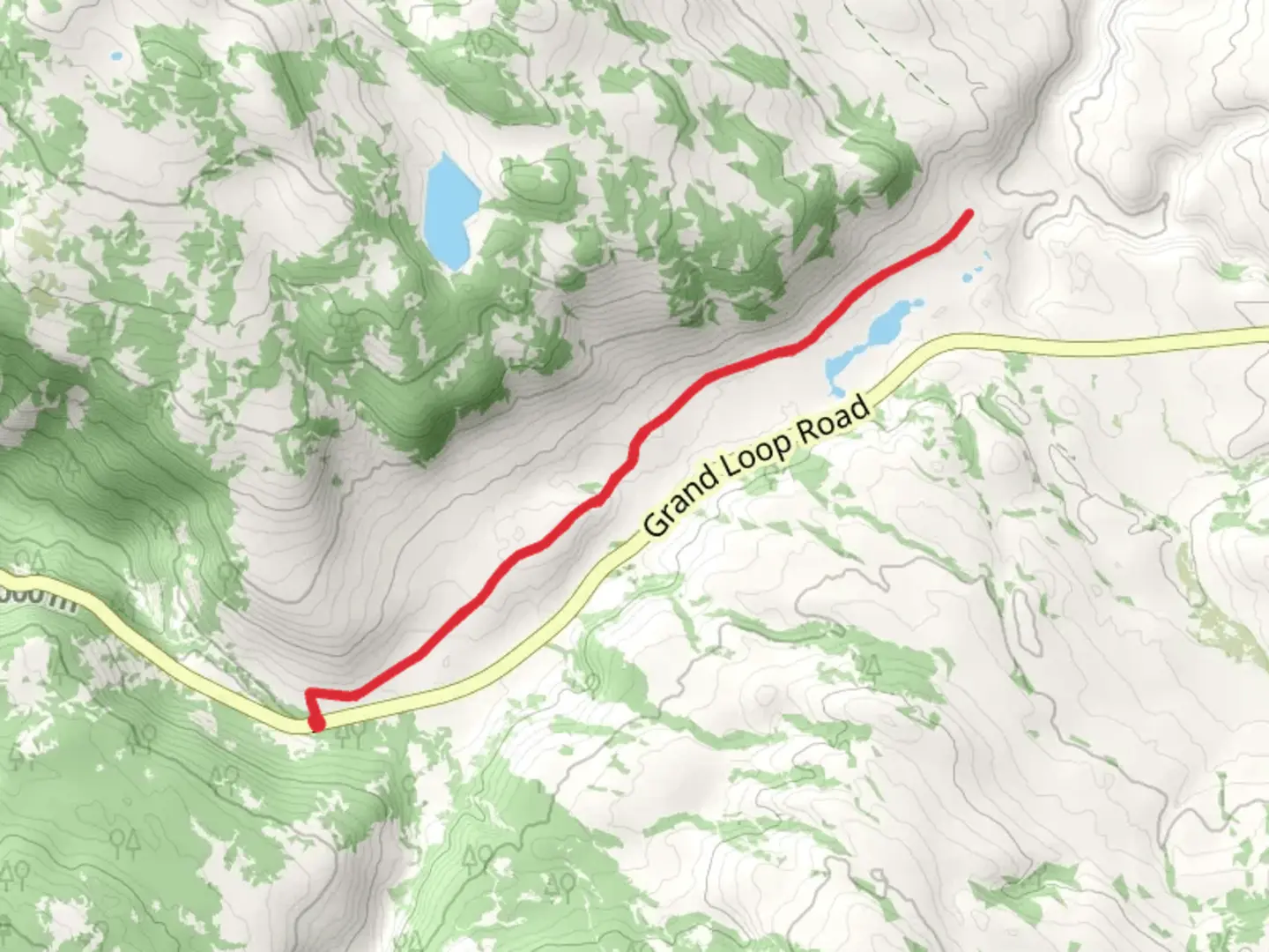 An image depicting the trail Blacktail Pond from Grand Loop Road and its surrounding area.