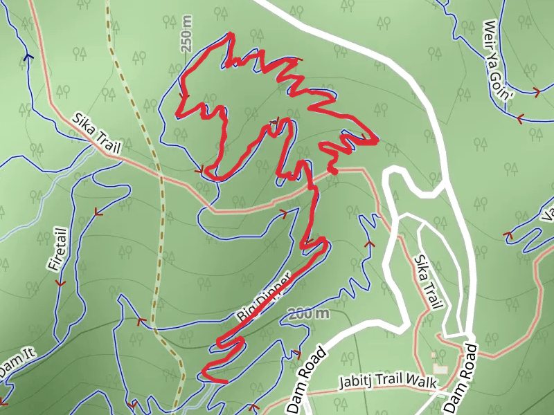Big Dipper Track