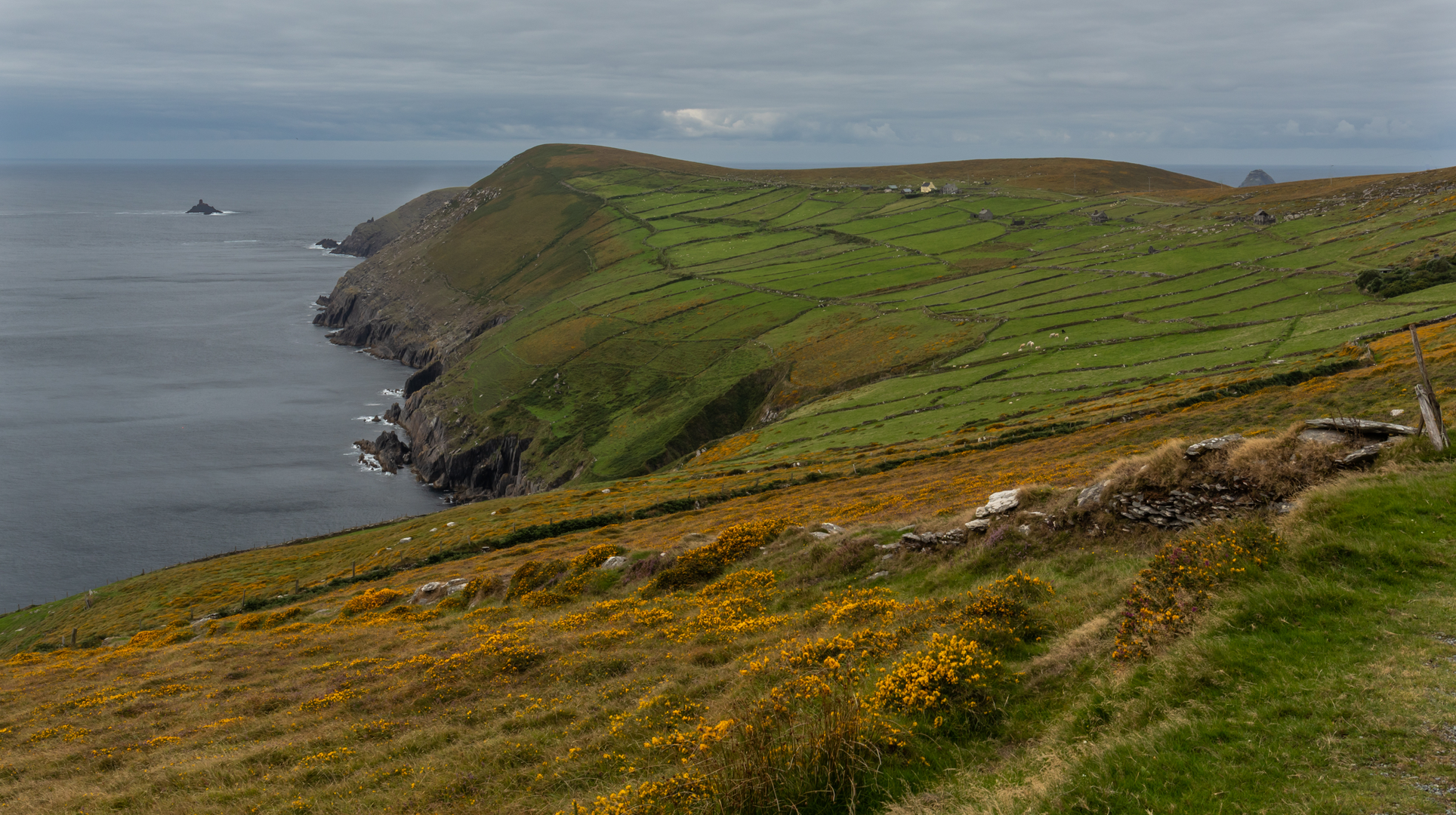 An image depicting the trail Dursey Island Loop and its surrounding area.