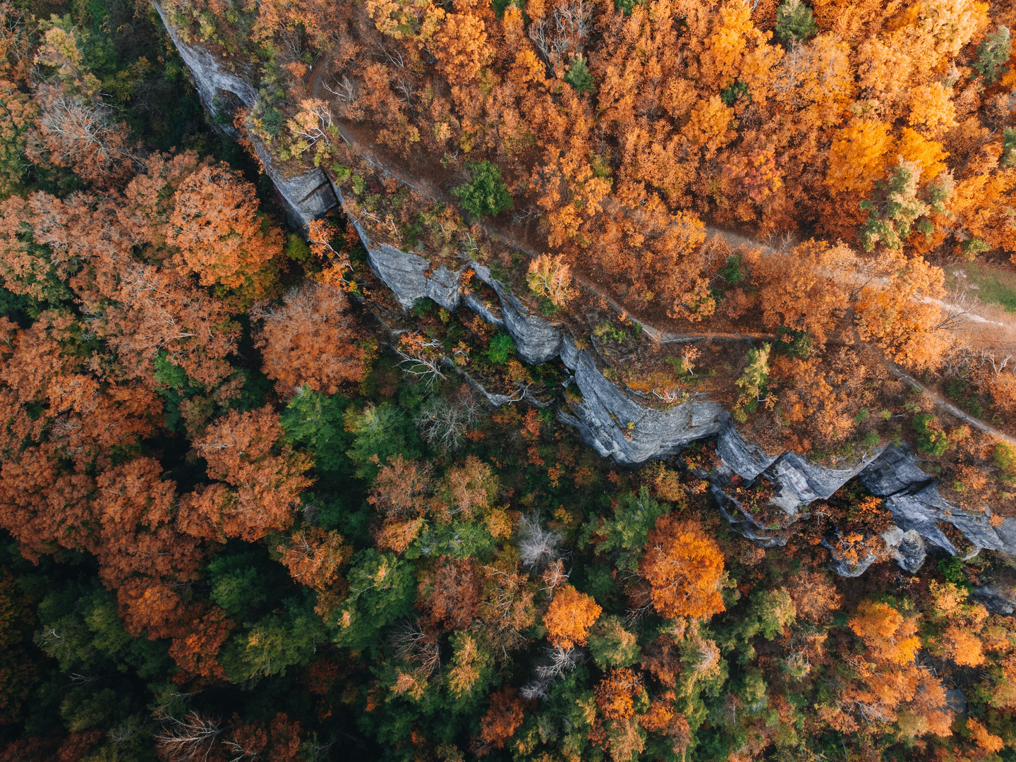 An image depicting the trail Minelot Falls via Indian Ladder Trail and its surrounding area.