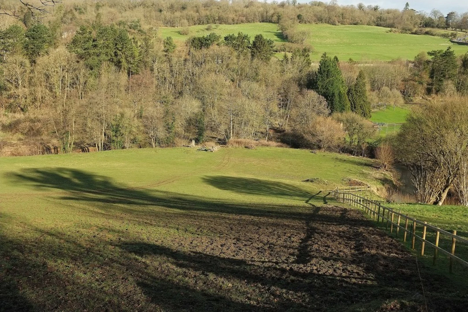 An image depicting the trail Midford Brook Loop and its surrounding area.