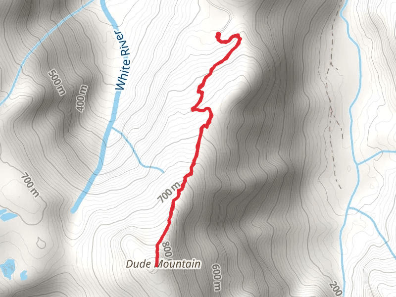 Dude Mountain