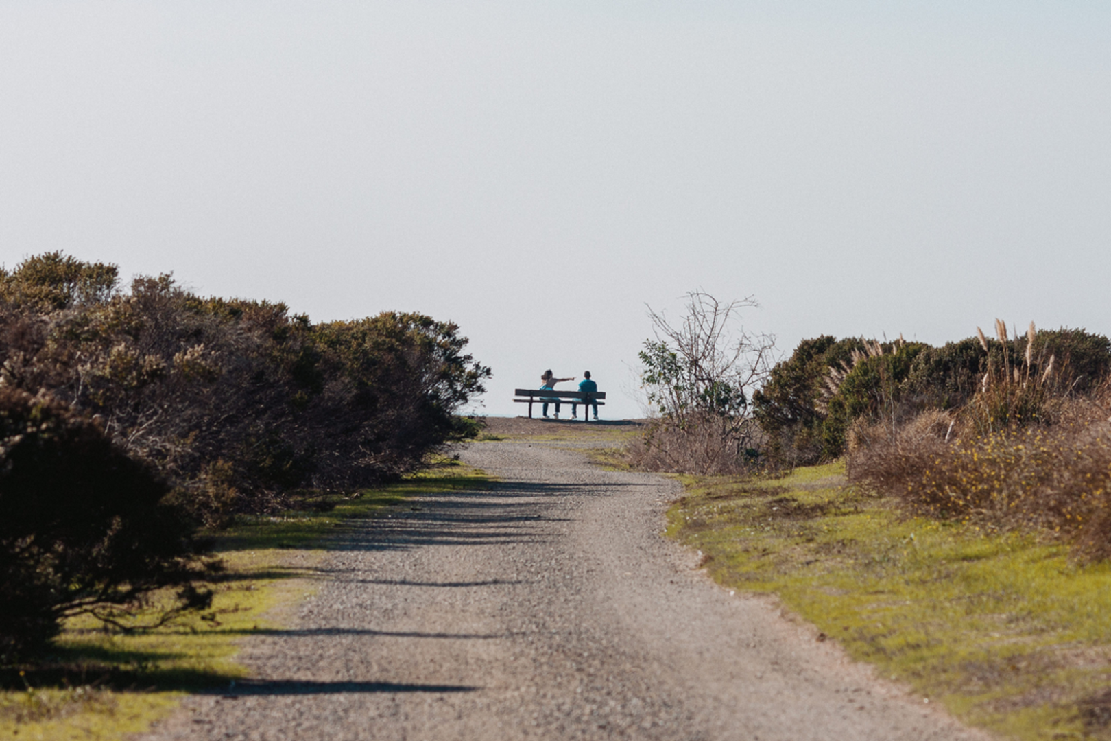 An image depicting the trail Hayward Regional Shoreline and San Francisco Bay Loop Trail and its surrounding area.