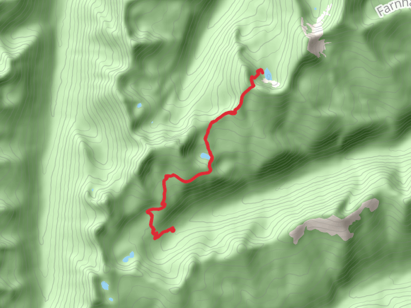 Big Fisher Lake and Trout Lake