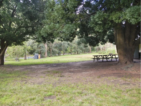 Riverside Track