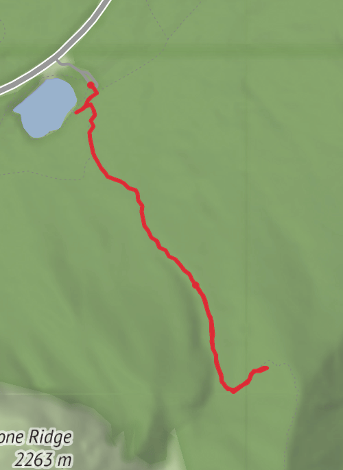 The Wedge mobile static map