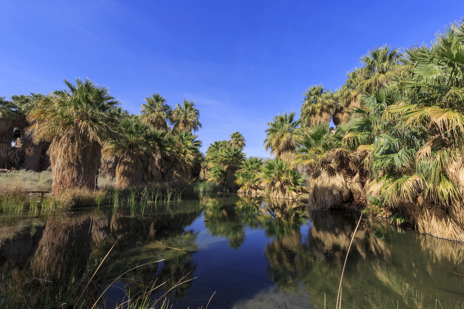 An image depicting the trail McCallum, McCallum Pond and Moon Country Loop Trail and its surrounding area.