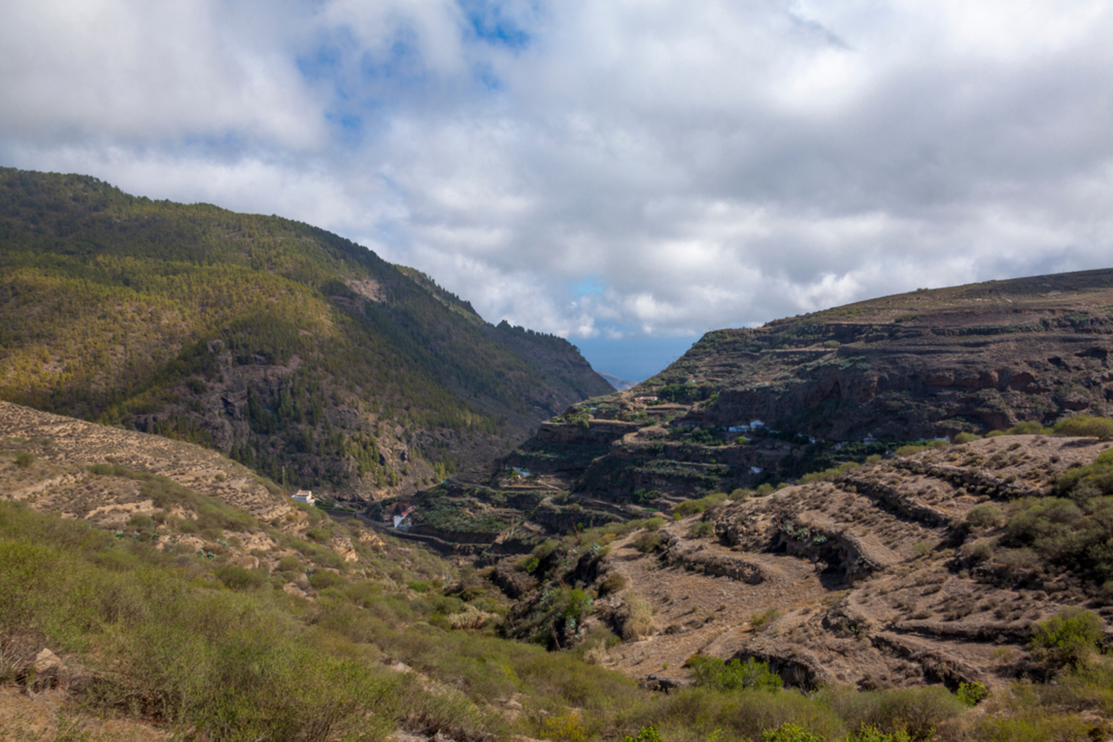 An image depicting the trail SL TF 301 Las Barreras Circular and its surrounding area.