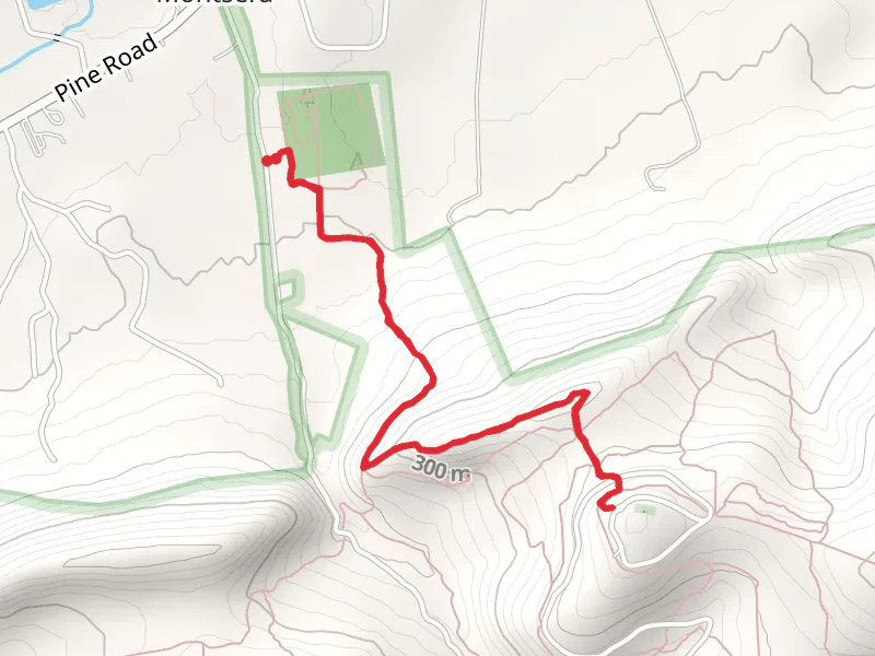 Rock Scree Trail