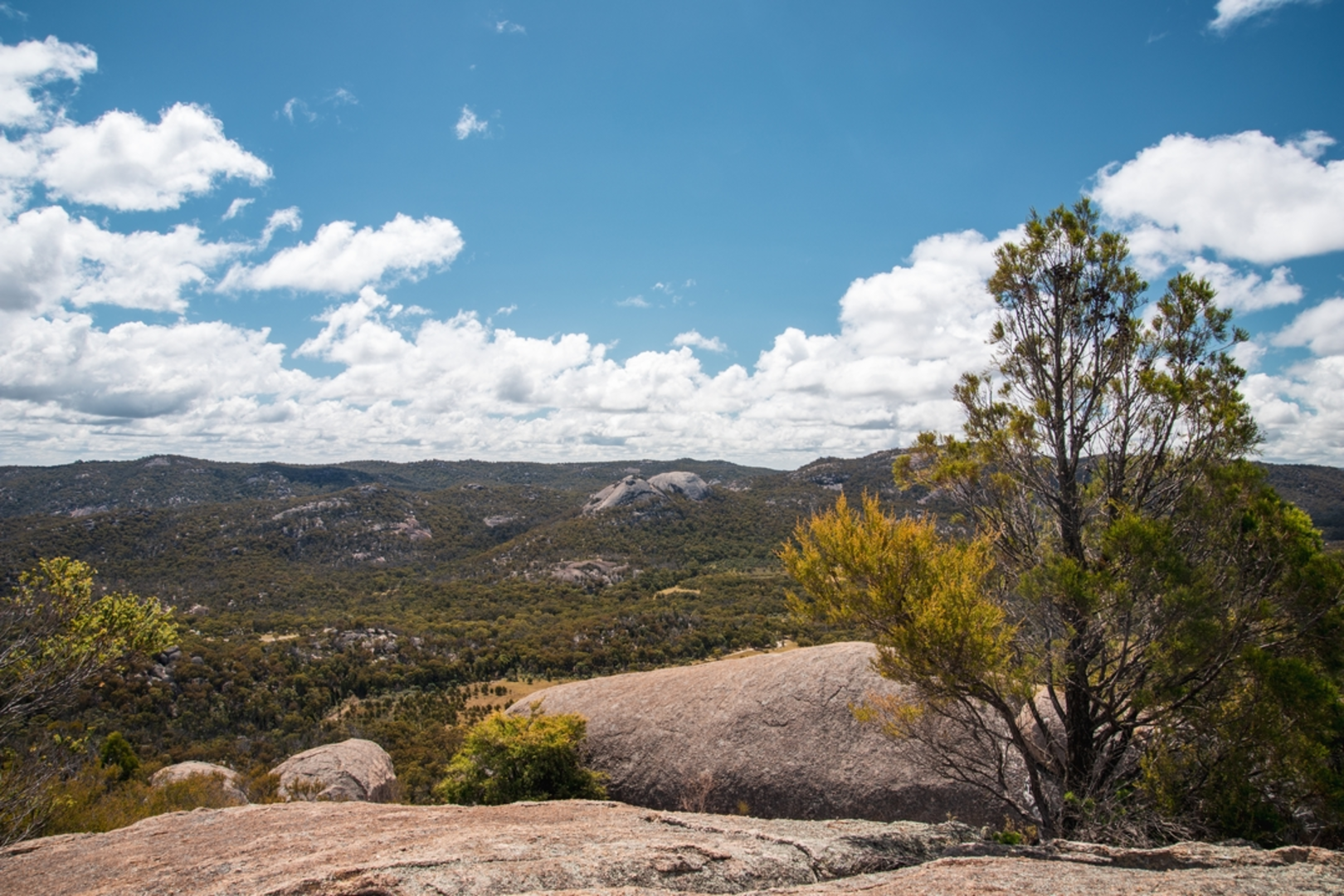 An image depicting the trail Castle Rock and its surrounding area.