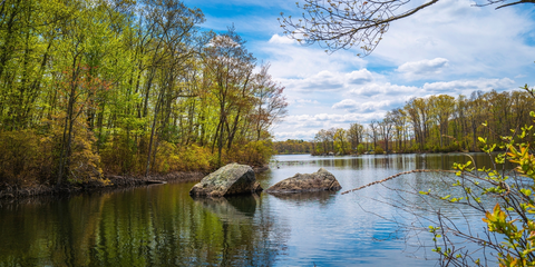 Lincoln Woods State Park Loop