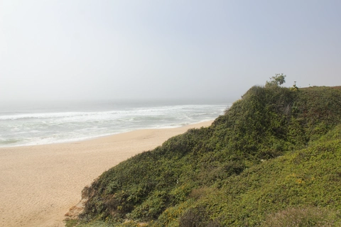 Old San Pedro Mountain Road and North Peak Access Road Loop