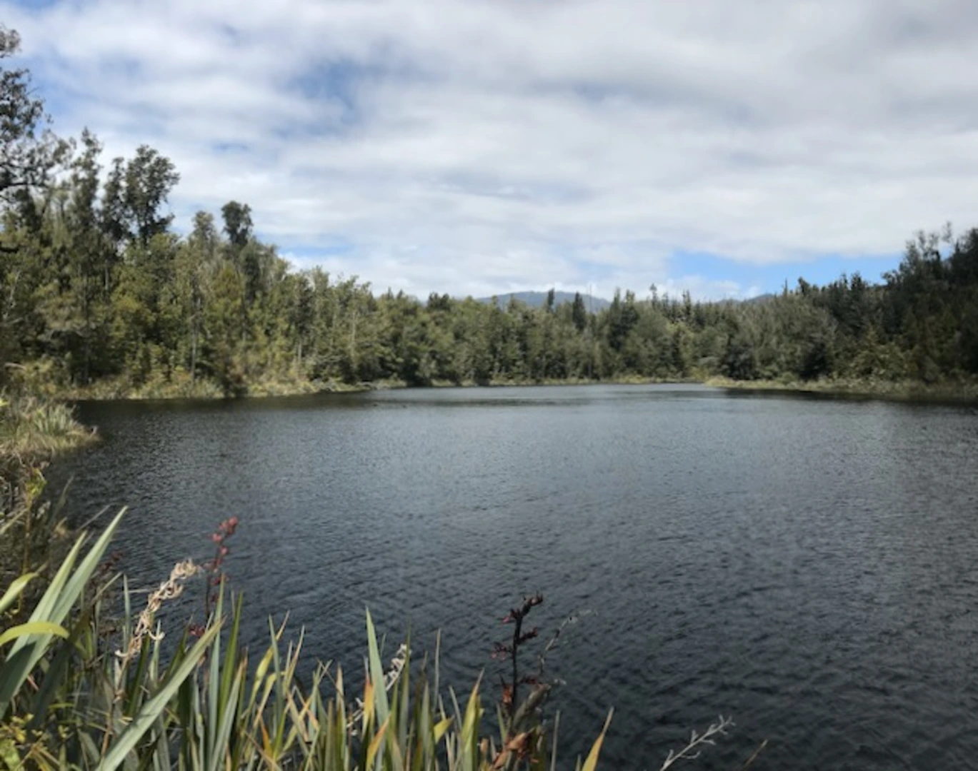 An image depicting the trail Lake Hanlon Track and its surrounding area.