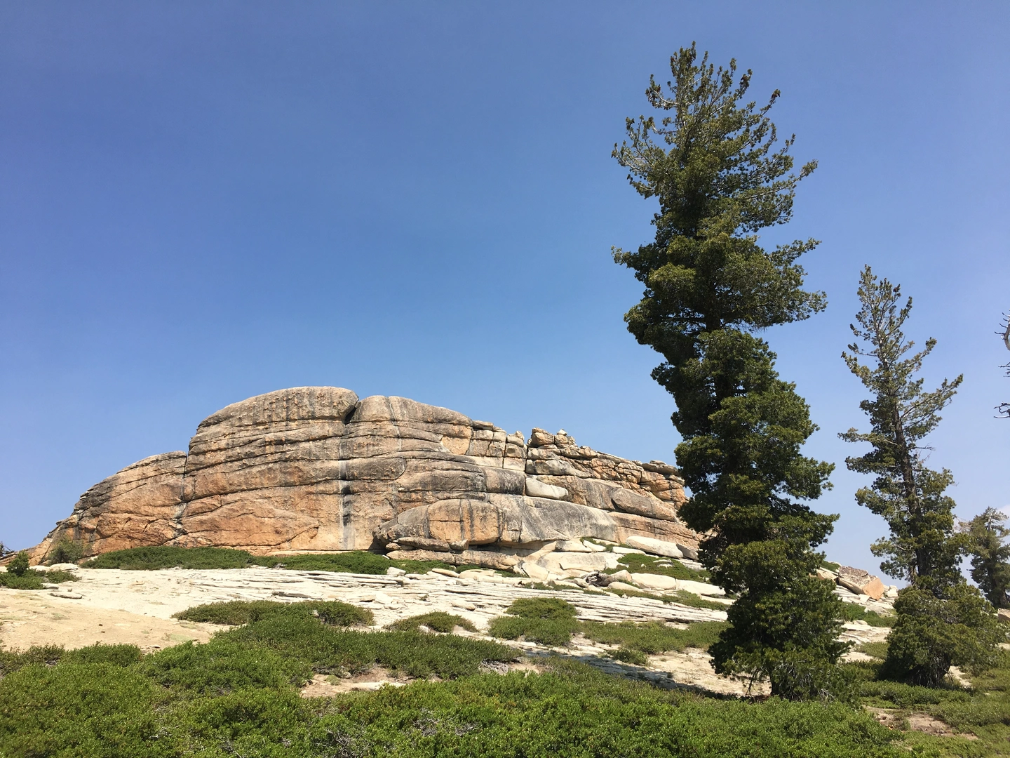 An image depicting the trail Shuteye Peak and Lookout Trail and its surrounding area.