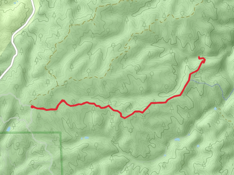 Davis Trail