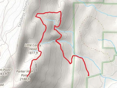 Parker High Point via Nubbin Creek Trail