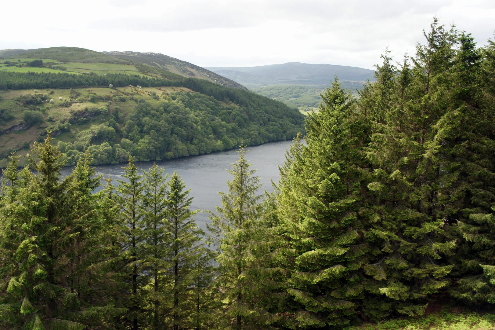 An image depicting the trail Scarr Mountain Trail and its surrounding area.