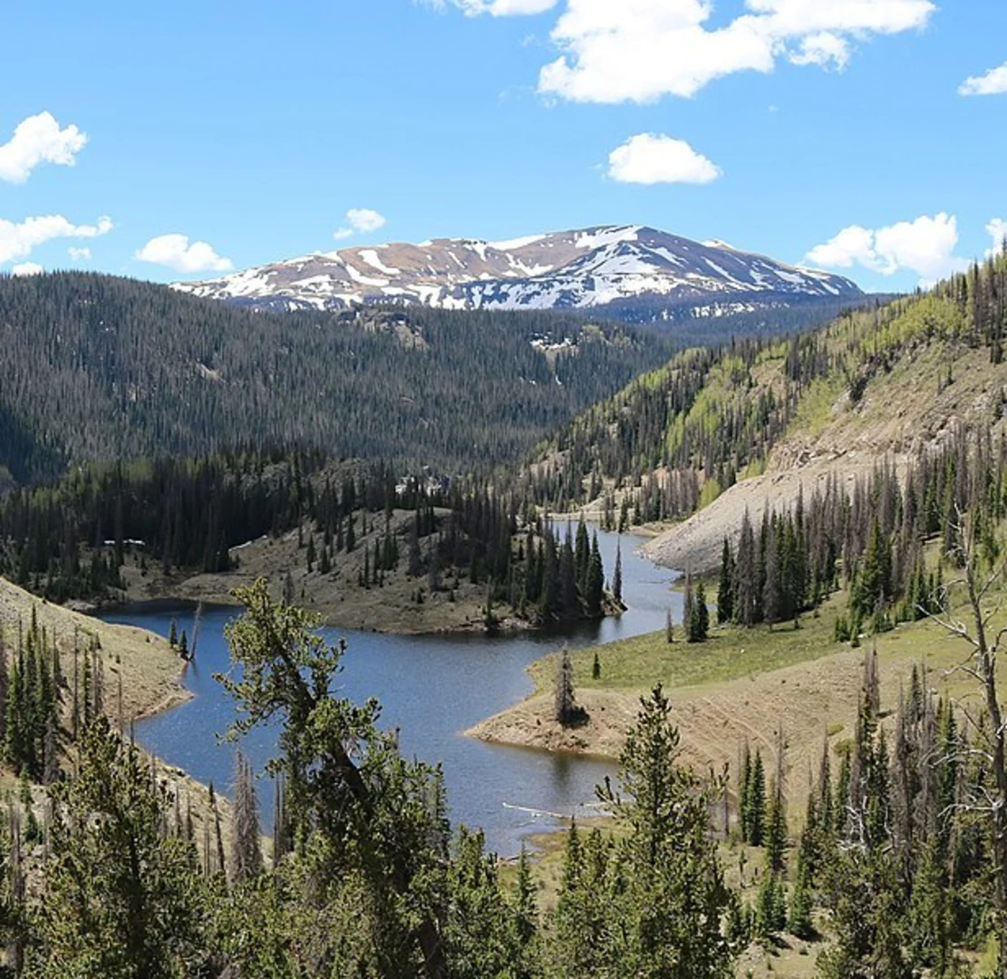 An image depicting the trail Middle Fork Conejos via Conejos River Trail and its surrounding area.