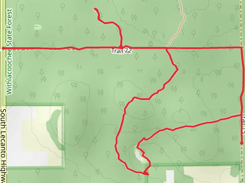 Lizzie Hart Sink Loop via Withlacoochee State Forest Trail