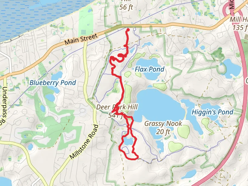 Ruth Pond Loop Trail