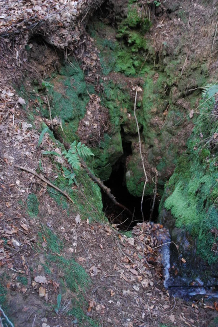 An image depicting the trail Highmeadow Woods Short Loop and its surrounding area.