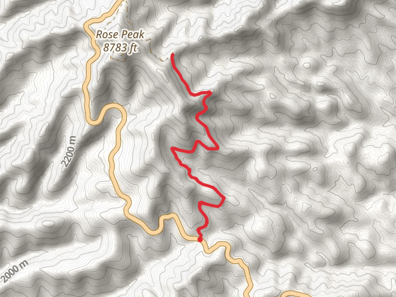 Bear Pen Springs Trail