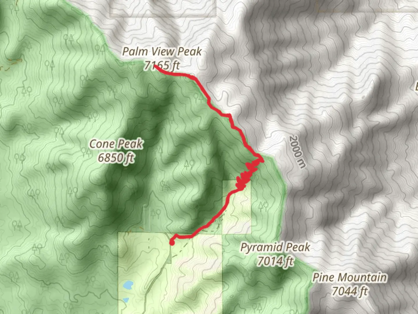An image depicting the trail Palm View via Cactus Springs Trail and its surrounding area.