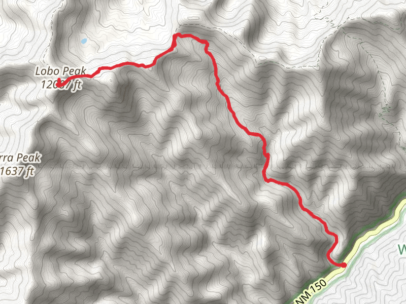 Lobo Peak and Italianos Canyon Trail