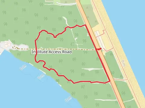 Loop beside Coconut Point
