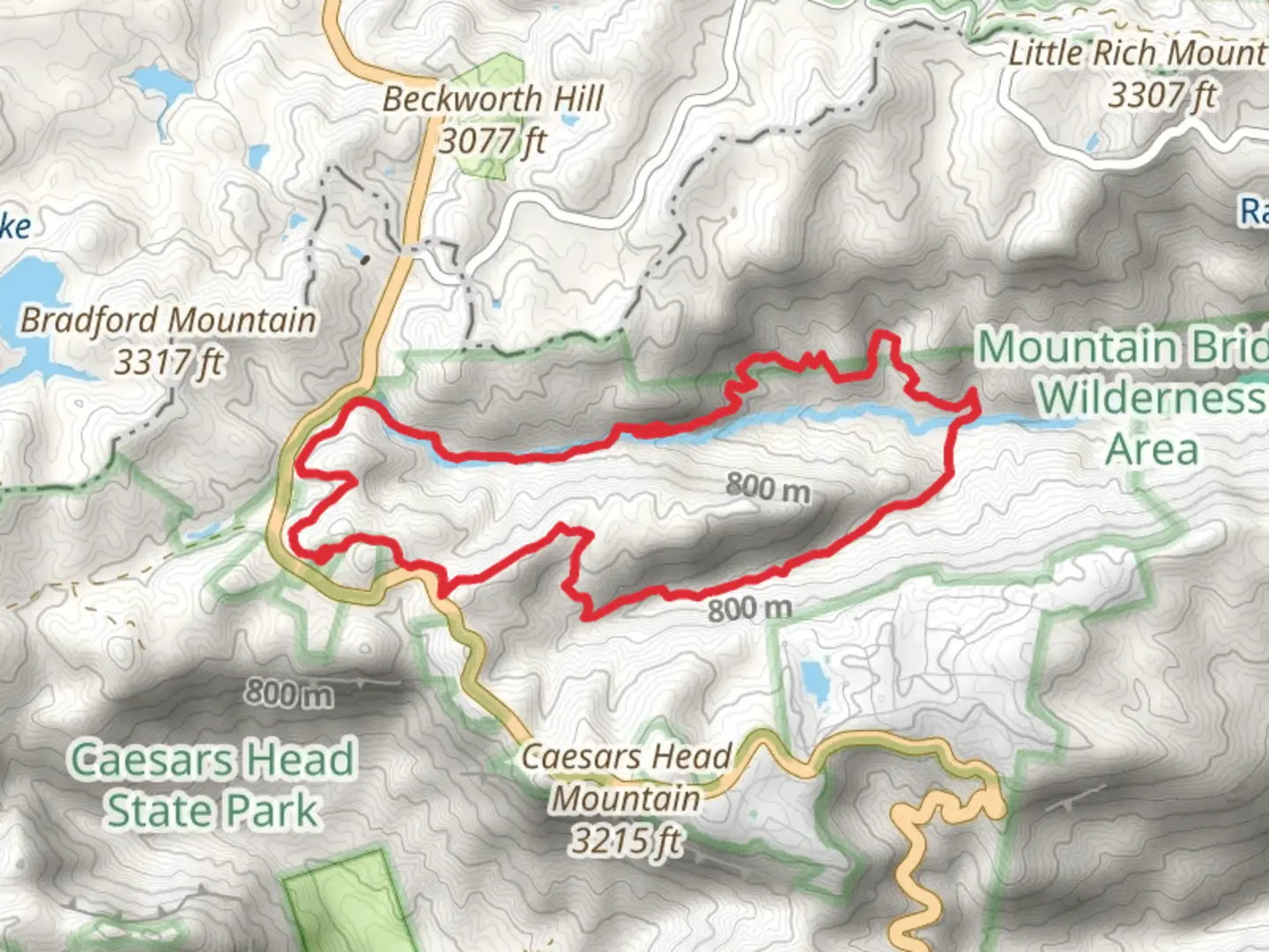 An image depicting the trail Coldspring Branch, Jones Gap and Silver Steps Loop Trail and its surrounding area.