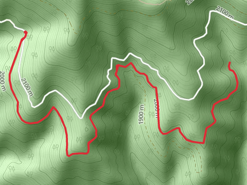 Gentile Creek Trail