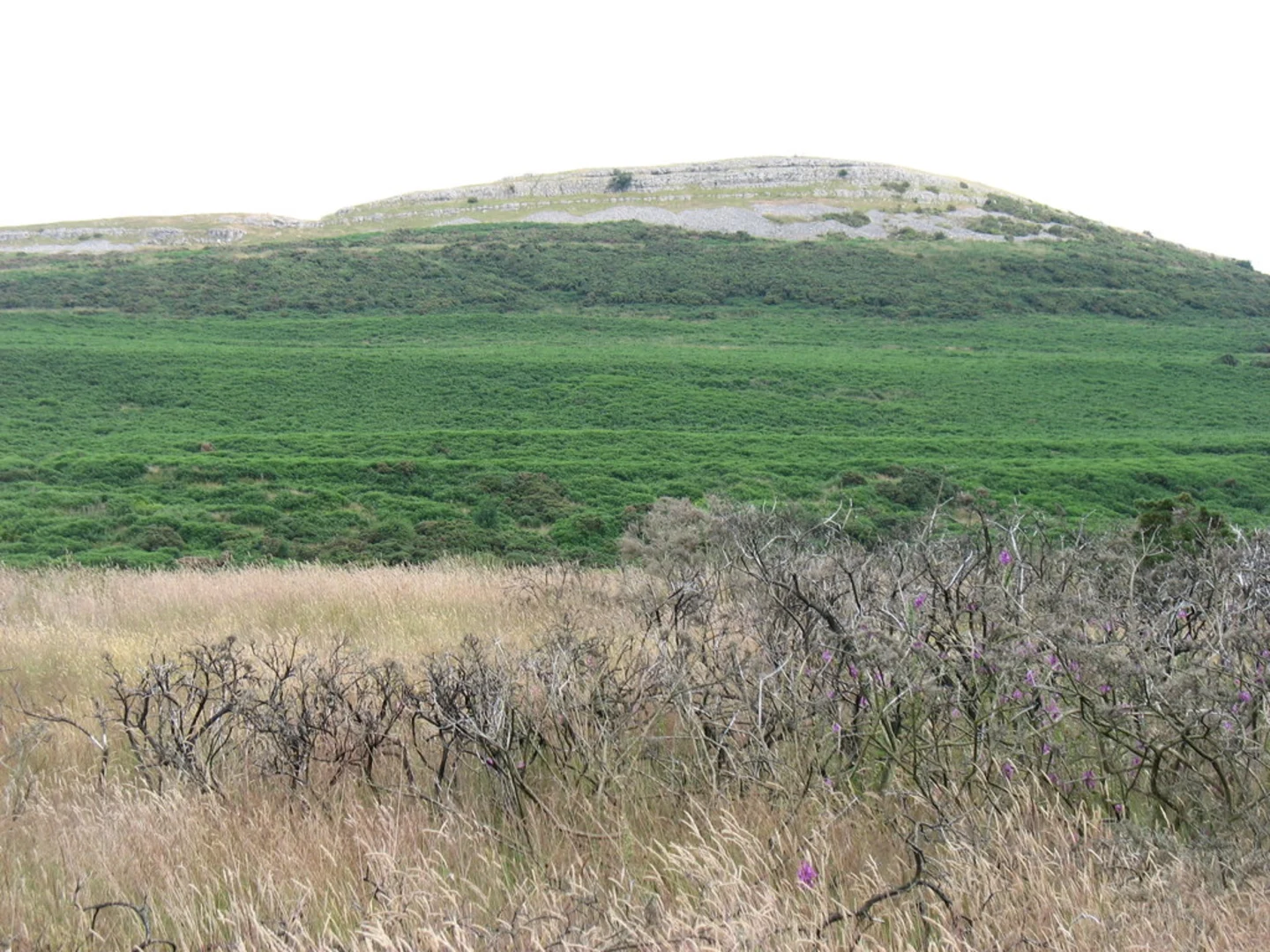 An image depicting the trail Knipe Scar and its surrounding area.