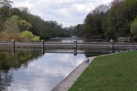 Coombe Country Park and New Close Wood Loop