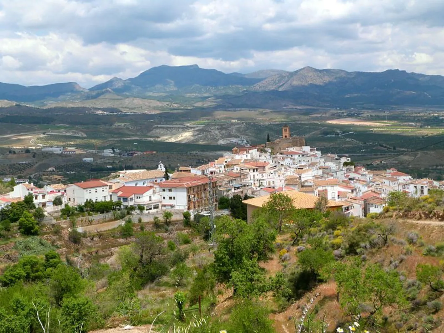 An image depicting the trail Panoramic of Serón PR A 335 and its surrounding area.