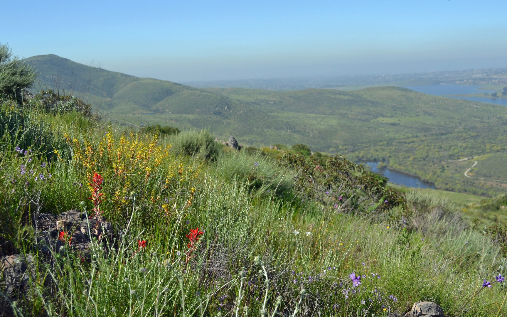 An image depicting the trail Mount Miguel Loop via Rock House Trail and its surrounding area.