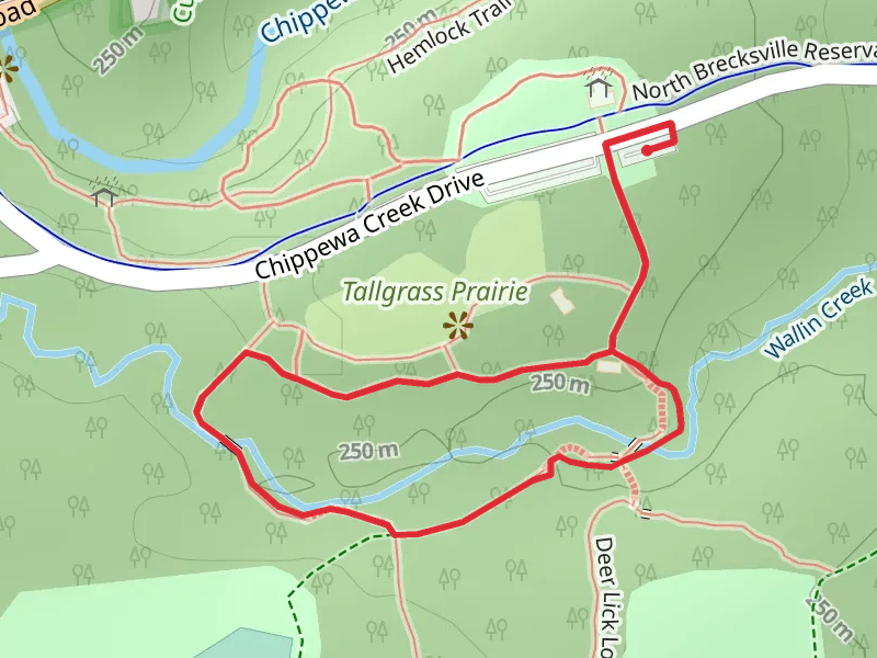 Deer Lick Cave and Hemlock Loop Trail