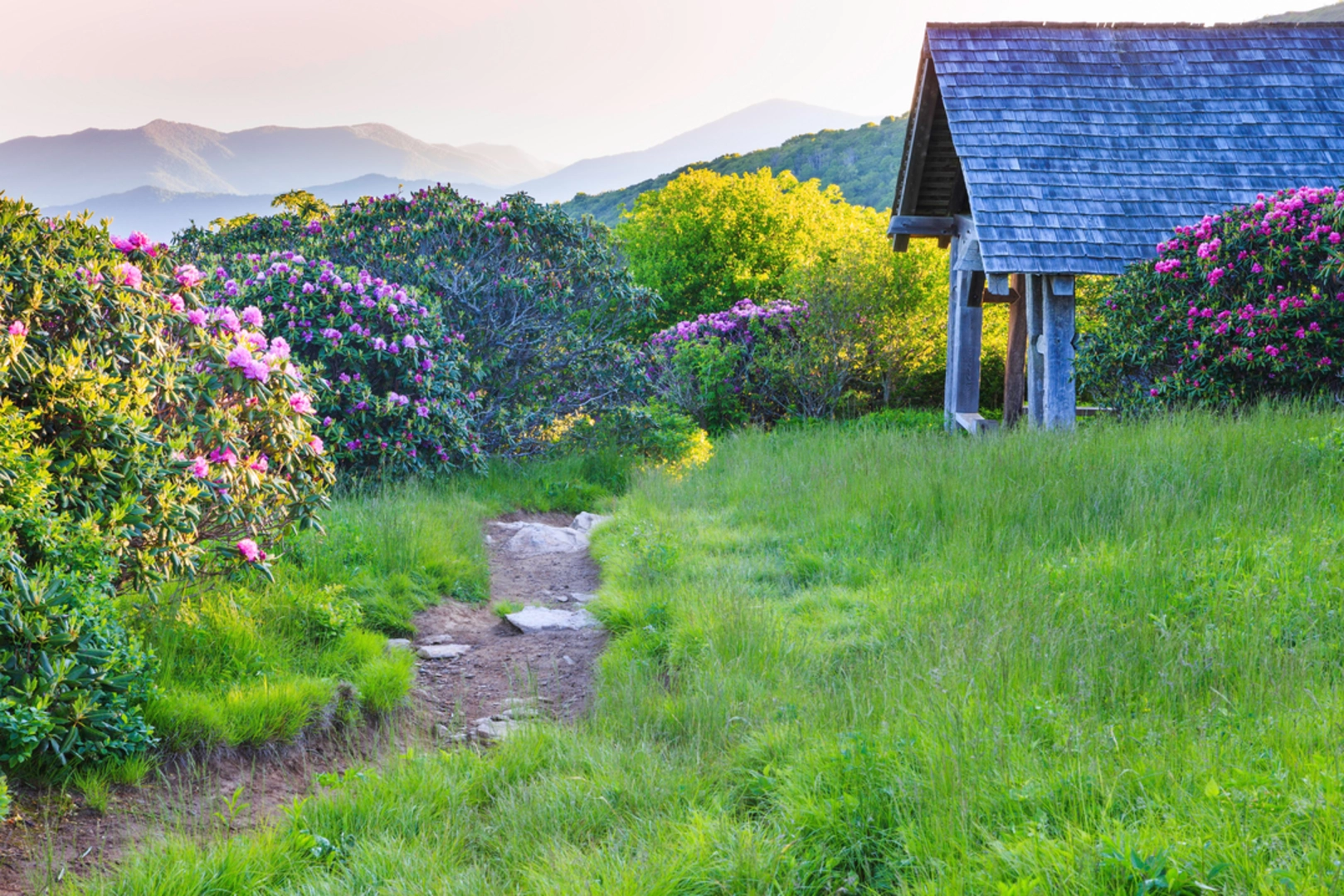 An image depicting the trail Roan Mountain Gardens NRT Loop B and its surrounding area.