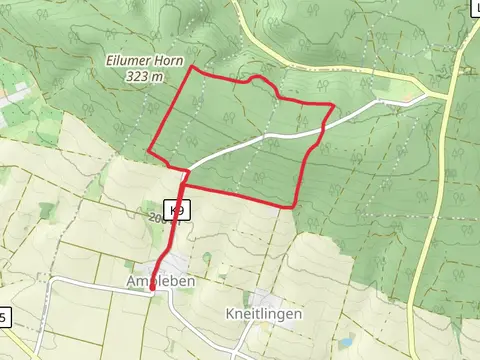 Schierholz Loop