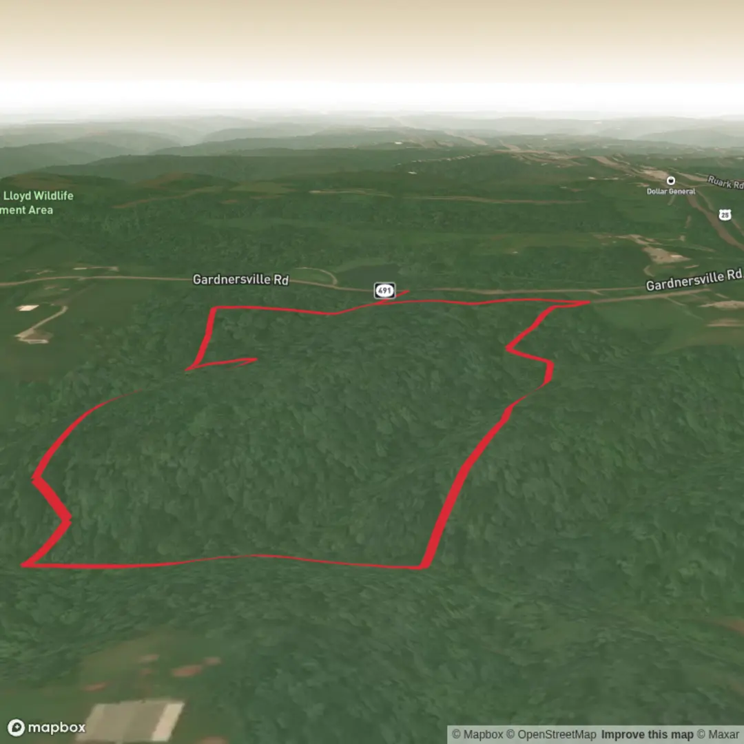 An image depicting the trail Old Growth Woods Trail and its surrounding area.