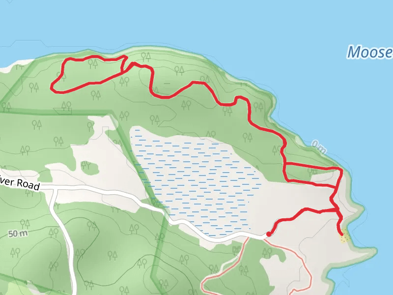 Moose River - Ridge Trail
