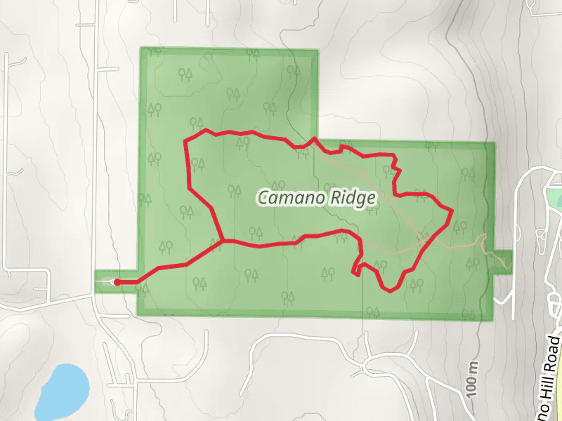 Can Ku to Camano Ridge and Sockeye Run Loop
